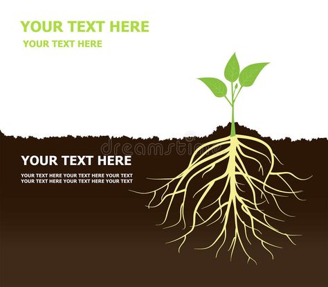 Tree with Roots Plant roots Soil. Tree with Roots under Soil Vector , Plant root , #spon, #Plant, #Roots, #Tree, #Vector, #Soil #ad Soil Illustration, Roots Quotes, Roots Illustration, Agriculture Photography, Tree With Roots, Roots Tattoo, Calendar Inspiration, Root Structure, Plant Icon