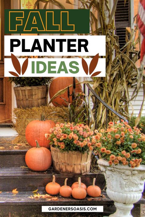 12 Front Porch Fall Planter Ideas | Outdoor Decorating Planters With Pumpkins, Door Planter Ideas, Front Door Planter Ideas, Planter Ideas Outdoor, Fall Planter Ideas, Fall Potted Plants, Mums And Pumpkins, Shade Plants Container, Full Sun Container Plants