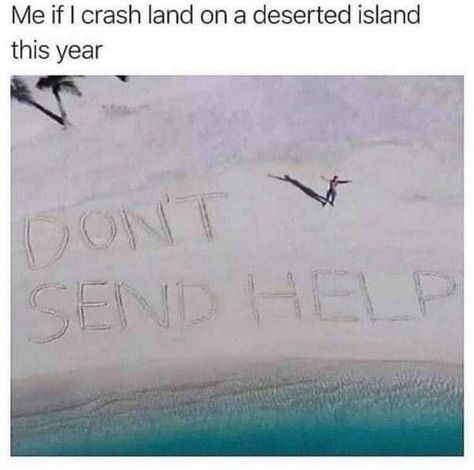 Meme Page, Sarcasm Only, Desert Island, Need A Vacation, Someecards, Internet Funny, Best Memes, Memes Quotes, The Words