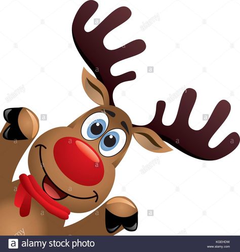 Download this stock vector: vector xmas drawing of funny red nosed reindeer. christmas card illustration. cartoon rudolph deer with red scarf and big horns on white background, b - KGEHDW from Alamy's library of millions of high resolution stock photos, illustrations and vectors. Raindeer Drawing Christmas Simple, Rudolph The Red Nosed Reindeer Drawing, Cute Reindeer Drawing, Reindeer Drawing, Reindeer Christmas Card, Xmas Drawing, Rudolph Red Nose, Rudolph Red Nosed Reindeer, Cartoon Reindeer