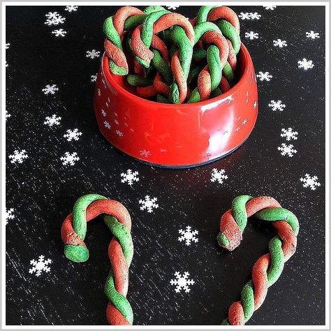 Dog Treats - Inspired! - Get your ideas from the online store - Amazon.com Crafts For Dogs, Christmas Dog Cookies, Christmas Cookies For Dogs, Puppy Recipes, Christmas Gifts For Dogs, Pet Treats Recipes, Christmas Dog Treats, Easy Dog Treat Recipes, Food Holidays