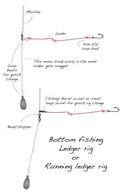 How to Rig for Bottom Fishing – Ledgering / Running Ledger Bottom Fishing Rigs, Fishing Knots Tutorials, Catfish Rigs, Fishing Line Knots, Fishing Hook Knots, Fishing Gadgets, Carp Fishing Rigs, Bottom Fishing, How To Fish