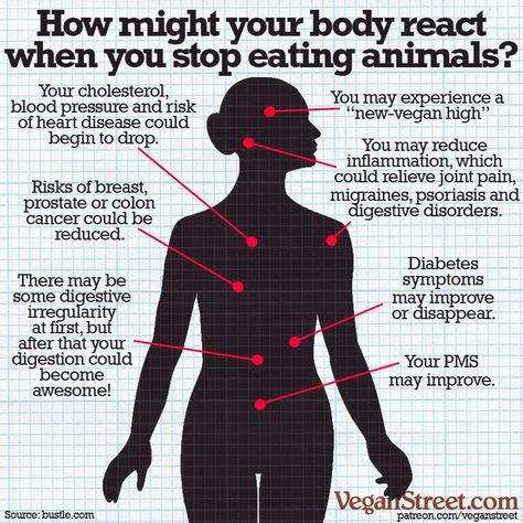 Vegan Street on Instagram: “Interesting things can happen to your body when you turn vegan. For most folks, these tend to be pretty positive, but everyone has a…” Reasons To Go Vegan, Vegan Facts, How To Become Vegan, Keto Vegan, Vegan Quotes, Why Vegan, Vegan Inspiration, Vegan Living, Low Carb Vegan