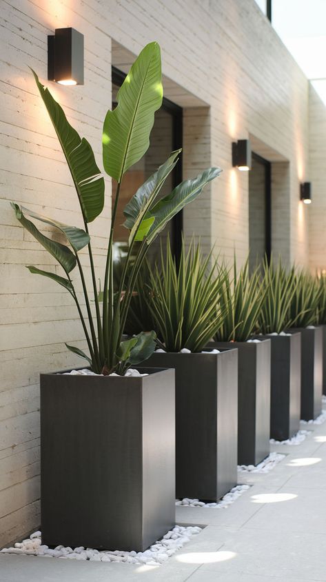 Elevate your outdoor space with minimalist black tall planters. Discover sleek designs that bring a modern touch to your garden or front porch. Contemporary Potted Plants Outdoor, Palm Trees In Front Of House, Porch Patio Decorating Ideas, Large Planters Outdoor Ideas, Planters In Front Of House, Poolside Planter Ideas, Minimalist Garden Ideas, Adu Backyard, Modern Minimalist Garden