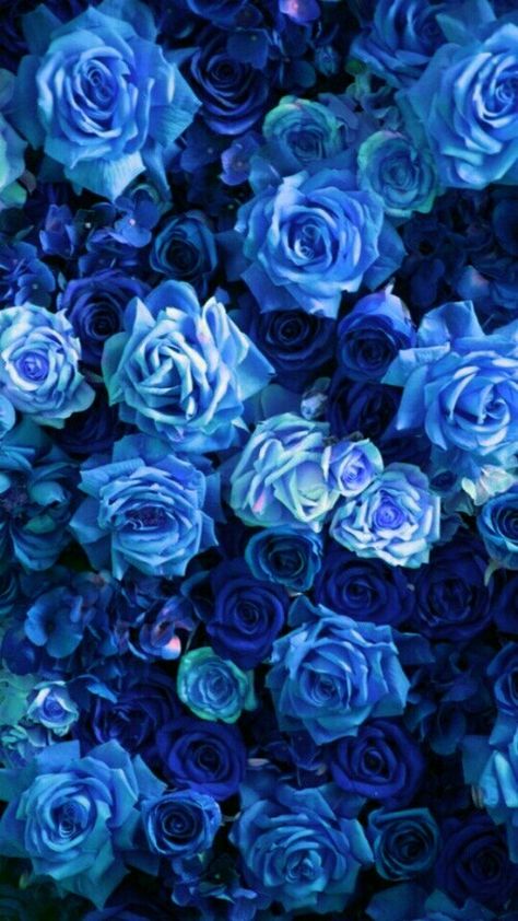 Blue Roses Wallpaper Backgrounds, Blue Flowers Wallpaper, Rose Blu, Blue Flowers Background, Blue Roses Wallpaper, Photo Bleu, Baby Blue Wallpaper, Blue Flower Wallpaper, Dark Blue Wallpaper