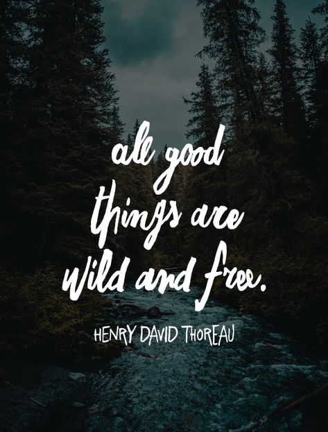 Deer Quotes Nature, Quotes About Wilderness, Wild Nature Quotes, Being In Nature Quotes, Quotes About Nature Beauty Outdoors, Jungle Quotes Wild, Wild Quotes Nature, River Quotes Inspirational, Wild Boy Quotes