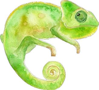 Watercolour chameleon Camelions Drawing, Chameleon Painting, Chameleon Watercolor, Chameleon Art, Watercolor Art Lessons, Color Inspo, Water Colour, Art Lessons, Watercolor Art