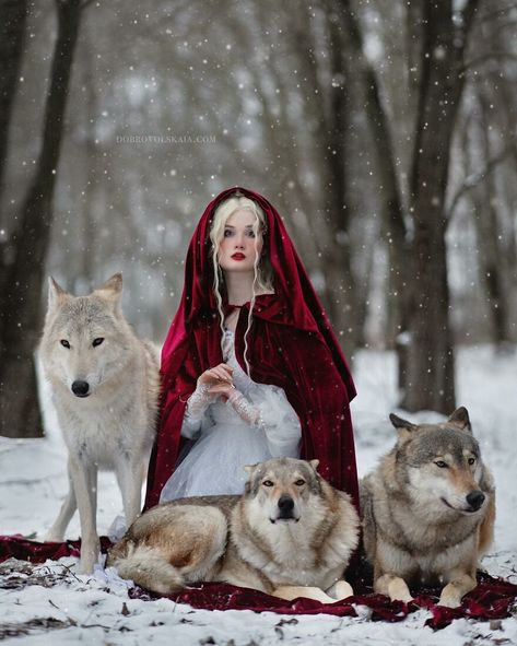 Red Riding Hood Photography, Little Red Riding Hood Costume, Riding Hood Costume, Magical Photography, Animals And People, Apocalypse Aesthetic, Red Riding Hood Costume, Connection With Nature, Fashion Art Photography