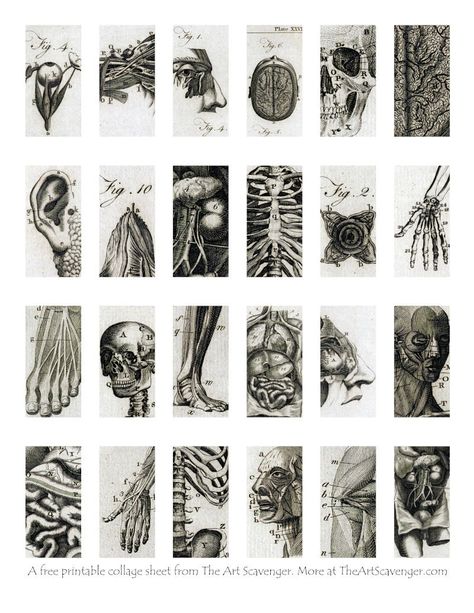 Dark Scrapbook Stickers, Mixed Media Anatomy Art, Free Printable Gothic Wall Art, Black And White Scrapbook Printables, Dark Stickers Printable, Free Gothic Printables, Vintage Junk Journal Free Printable Collage Sheet, Free Stickers Printables Aesthetic, Gothic Stickers Printable