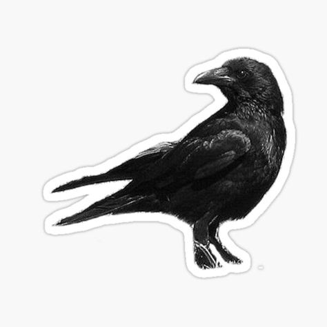 Crow Sticker, Altoids Wallet, Eagle Skull, Binding Covers, Selfie Photography, Good Luck Gifts, Black Crow, Black Stickers, Original Photography