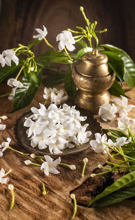 Indian Ayurveda Aesthetic, Ayurveda Photography, Ayurvedic Aesthetic, Ayurveda Aesthetic, Jasmine Aesthetic, Spa Ceylon, Ayurveda Beauty, Emotional Disturbance, Aloe Vera For Face