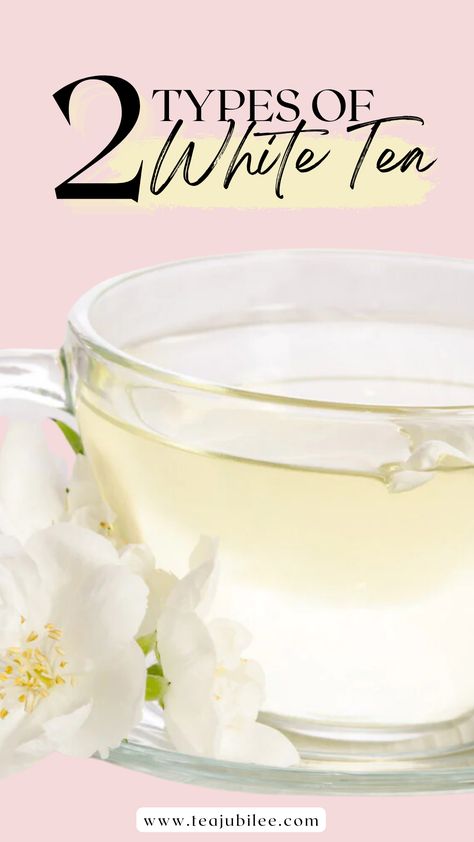 White tea is a delicate and refreshing beverage that many tea lovers enjoy around the world. Here are the two types of white teas we can enjoy! White Tea Essential Oil Blend, Benefits Of White Tea, White Tea Benefits, Types Of White, Tea Health, Tea Health Benefits, Cuppa Tea, Tea Brands, Healthy Benefits