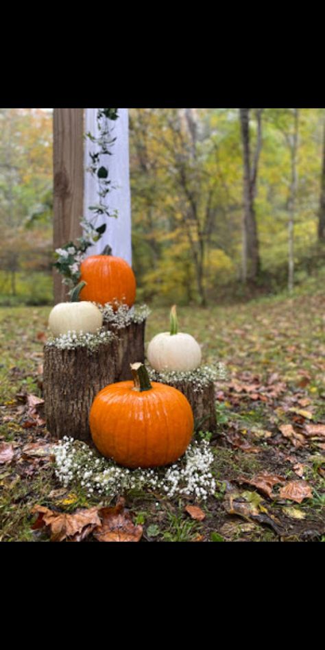 Fall Harvest Wedding Decor, Fall Outside Wedding Ideas Backyards, Simple Cheap Wedding Ideas Decoration Easy Diy, Cute Fall Wedding Ideas, Sunflower Pumpkin Wedding, Backyard Fall Wedding Ideas On A Budget, Fall Wedding Ideas Simple, Pumpkin Aisle Wedding, Fall Field Wedding