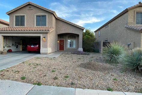 Yard Before And After, Turtle Care, Mini Sunflowers, Chocolate Flowers, Water Usage, Southwest Desert, Plant Species, Home Hacks, Native Plants