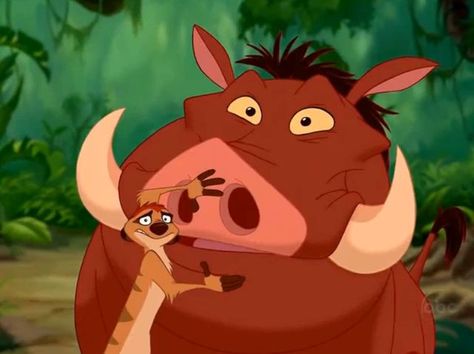 Movie Duos, Disney Amor, Disney Duos, Lion King 1, Disney Best Friends, Best Friend Quiz, Friend Quiz, Timon And Pumbaa, Jean Reno