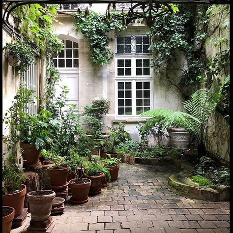 Nicholas Hayman on Instagram: “Cool, peaceful Parisian courtyard. Thank you @french.exterior for the snap #calm #cool #paris #style #design #beauty #green #love #france…” Parisian Courtyard, Tiny Courtyard, Small Magical Garden, Modern Front Yard Landscaping, Landscaping Design Ideas, Modern Front Yard, Lush Lawn, Magical Garden, Front Yard Landscaping Design