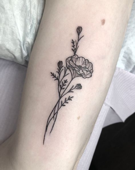 Primrose Tattoo Company on Twitter: "Wildflowers https://t.co/SNt3RxAL39" / Twitter Simple Poppy Tattoo, Poppy Tattoo Ideas, California Poppy Tattoo, Wildflowers Tattoo, Poppy Flower Tattoo, Simple Flower Tattoo, Poppy Tattoo, California Tattoo, Poppies Tattoo