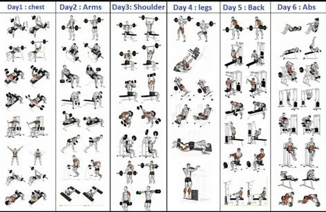 Gym Workout Schedule for Men Pdf | Gym workout plan pdf | Medicallyinfo Workout Schedule For Men, Gym Workout Schedule, 5 Day Workout Plan, 5 Day Workout Routine, Exercise Chart, 5 Day Workouts, Teen Workout Plan, Fitness Studio Training, Workout Plan For Men