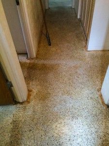 Old Terrazzo Floor, Diy Terrazzo Floor, White Terrazzo Floor, Brown Terrazzo, Terazzo Floor, Diy Terrazzo, Diy Floor Cleaner, Tile Stained, Tile Repair