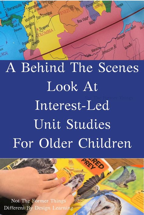 Interest Led Learning, Tattoos Architecture, Design Learning, Led Unit, Animals Tattoos, Homeschool Tips, Calming Activities, Unit Studies, Homeschool Help