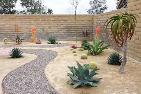 desert landscape ideas | Desert landscaping ideas / Rock Pathway in Xeroscape Garden landscape Desert Succulent Landscape, Cheap Yard Upgrades, Decomposed Granite Landscaping, Dessert Landscape, Large Succulents, Arizona Backyard Landscaping, Xeriscape Ideas, Xeriscape Garden, Desert Landscaping Backyard