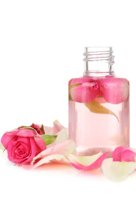 Rose Oil Benefits, Toxic Products, Rose Flavored, Rosa Damascena, Lavender Extract, Rose Extract, Boost Collagen Production, Rose Essential Oil, Oil Benefits