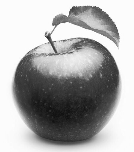 Apple Shading Practice, Apples Photography, Sculpture Inspiration, Melie Bianco, Still Life Photos, High School Art, Stippling, Drawing Lessons, Reference Photos