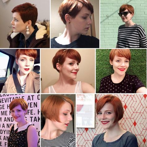 Growing Pixie Cut, Growing Out Pixie, Growing Out A Pixie Cut, Growing Out A Pixie, Growing Out Pixie Cut, Growing Out Hair, Grown Out Pixie, Hair Style Korea, Haircut Pictures