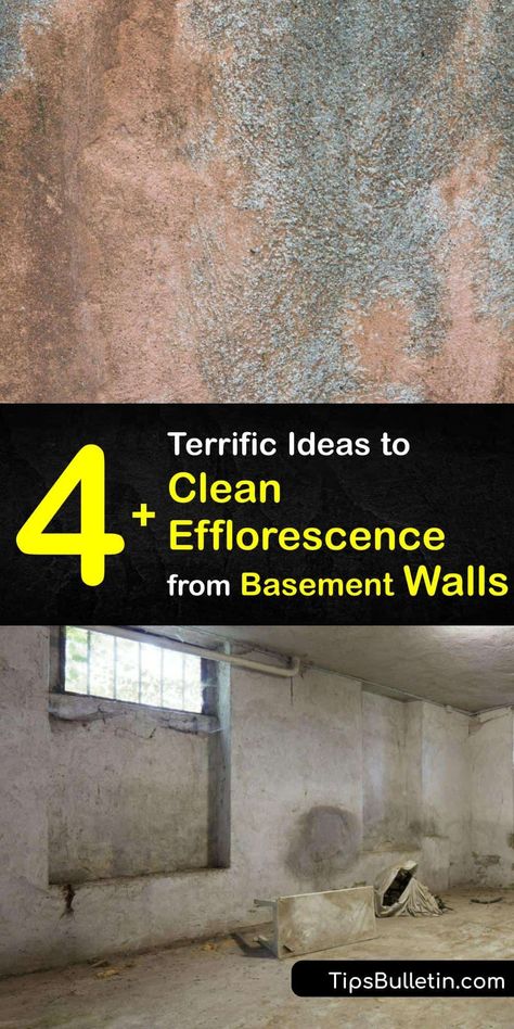 Texture Basement Walls, Clean Basement Walls, Efflorescence Removal Diy, Cleaning Basement Walls, How To Seal Basement Walls, Sealing Basement Walls, Cleaning Basement, Waterproof Basement, Waterproofing Basement Foundation