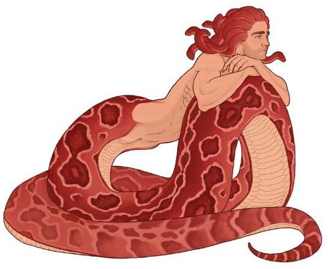 Half Snake Half Human Oc, Half Snake Half Human Male, Half Snake Half Human Drawing Base, Naga Male Snake, Gorgon Concept Art, Gorgon Oc Male, Male Gorgon Art, Snake Human Hybrid Male, Naga X Human