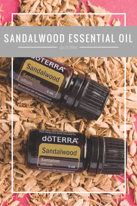 Sandalwood is very beneficial to the skin; it can help reduce the appearance of skin imperfections and it promotes a healthy, smooth complexion. Doterra Sandalwood, Indian Sandalwood, Sandalwood Essential Oil, Skin Imperfection, Doterra Essential Oils, Doterra, Essential Oil, The Skin, Essential Oils