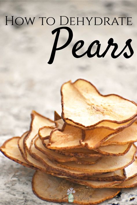 Dehydrated pears can be a delicious snack and a great way to use in-season produce. Here is a simple guide to teach you how to dehydrate pears so that you can make the most of this delicious fruit!  #dehydratedpears #dehydratingfruits #driedfruits #driedpears #howtodrypears How To Dehydrate Pears In Dehydrator, Fruit Dehydrator Recipes, How To Dehydrate Pears, Dehydrating Pears In Dehydrator, Dehydrated Pears In Dehydrator, Dehydrate Pears, Dehydrated Pears, Pear Chips, Dehydrator Recipes Fruit