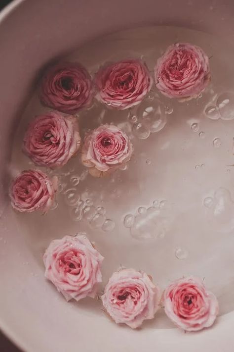 Pink and White Rose Petals · Free Stock Photo Wet Roses Wallpaper, Pink Rose Aesthetic Wallpaper, Wet Flowers Aesthetic, Wet Flowers Wallpaper, Nymphaea Lotus, Mixed Aesthetic, Red Roses Wallpaper, Pink Flowers Wallpaper, Iphone Wallpaper Photos