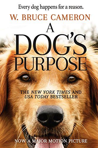 Book Review A Dog's Purpose by W. Bruce Cameron A Dog's Purpose, A Dog's Journey, Peggy Lipton, Cider House Rules, A Dogs Purpose, Dog Search, Dog Books, Dog Stories, Human Relationship