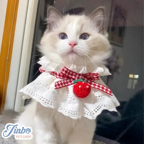 Knitted Strawberry Ribbon Bow White Lace Collar for Cats Dogs | Etsy Knitted Strawberry, Cats Anime, Collar For Cats, White Lace Collar, Lace Collar, Ribbon Bow, Cats Dogs, For Cats, Dog Collar