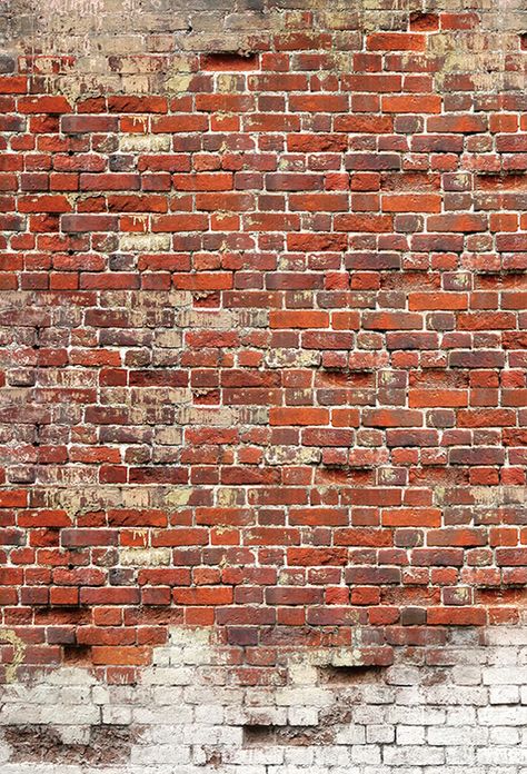 Brick Wall Backdrops – Starbackdrop Wall Diorama, Brick Wall Backdrop, Red Brick Wall, Easter Backdrops, Winter Backdrops, Custom Backdrops, Halloween Backdrop, Donnie Darko, Old Bricks