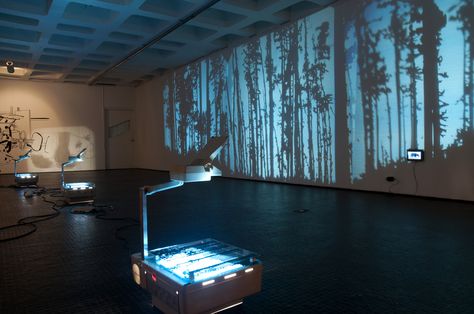 Forest Exhibition, See Drawing, Projection Installation, Exhibition Display Design, Overhead Projector, Shadow Theatre, Exhibition Stands, Projection Mapping, Blue Forest