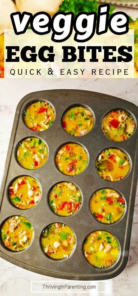 Looking for an easy and healthy breakfast recipe? Try these baked veggie egg bites made in mini muffin tins packed with nutrients that fit your diet! This veggie egg bites muffin tins recipe is perfect for those looking for quick and easy breakfast or even low carb snacks. The best part? You can make a big batch of this homemade veggie egg bites recipe and store in the freezer for later, making it a convenient option for those busy mornings, perfect for busy moms. Easy recipes for busy moms. Healthy Eggs Bites, Egg Bites With Veggies, Egg Bites Muffin Tins Recipe, Veggie Egg Bites Muffin Tins, Egg Bites Veggie, Egg Muffin Bites, Easy Big Batch Meals, Easy Egg Bites Muffin Tins, Freezer Egg Bites