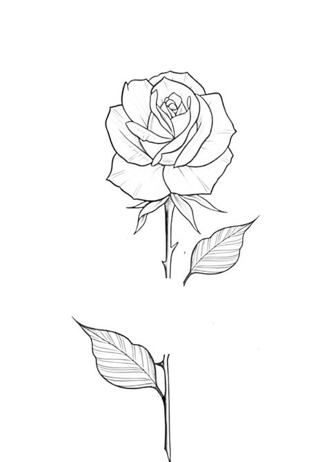 Rose Stem Tattoo, فن الرسم بالمسامير, Rose Tattoo Stencil, Rose And Butterfly Tattoo, Butterfly Tattoo Stencil, Rose Line Art, Purple Tattoos, Rose Flower Tattoos, Rose Drawing Tattoo