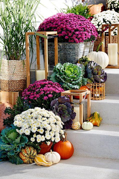 Orange and red might receive top autumn billing, but we think pink and purple are strong contenders for your fall front entry color scheme. #homedecor #decorideas #falldecor #curbappeal #fallfrontdoor #bhg Front Entry Ideas, Fall Window Boxes, Potted Mums, White Mums, Fall Container Gardens, Fall Mums, Fall Containers, Entry Ideas, Pumpkin Display