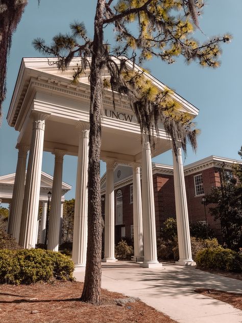 Uncw Seahawks Aesthetic, North Carolina College Aesthetic, University North Carolina, North Carolina University Aesthetic, Wilmington Nc Aesthetic, Kaleigh Aesthetic, University Of North Carolina Wilmington, Unc Wilmington Aesthetic, Uncw Aesthetic