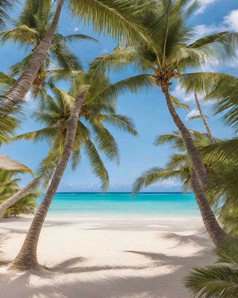 A secluded beach with soft, powdery sand, kissed by the gentle waves of the turquoise ocean, while palm trees swayed in the tropical breeze. Beach And Palm Trees, Palm Tree Pictures, Tropical Island Photography, Island Photography, Tropical Palm Trees, Pretty Nature, Beautiful Ocean Pictures, Turquoise Ocean, Ocean Pictures