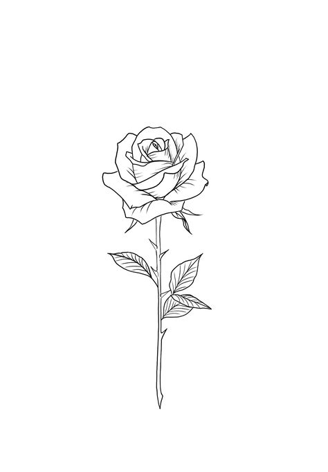 Rose Tattoo Outline, Roses Outline, Rose Outline Tattoo, Rose Tattoo On Side, Deer Head Tattoo, Rose Tattoo Stencil, Single Rose Tattoos, Simple Rose Tattoo, Tattoo Style Art