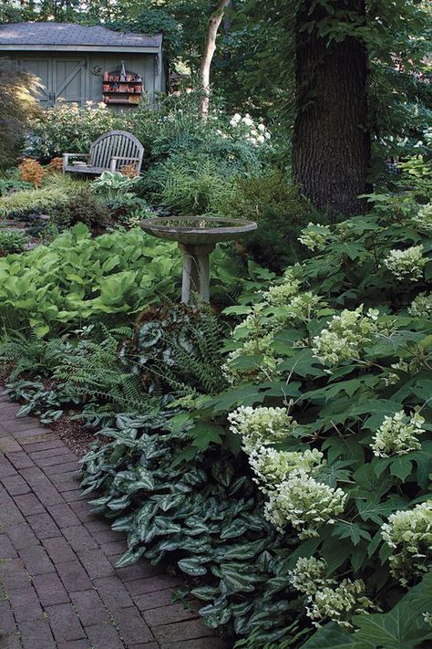 Dealing With Dry Shade - FineGardening Side House Garden, Shade Garden Design, Japanese Garden Landscape, Pathway Landscaping, Shade Garden Plants, Backyard Vegetable Gardens, Garden Wallpaper, Vegetable Garden Design, Woodland Garden