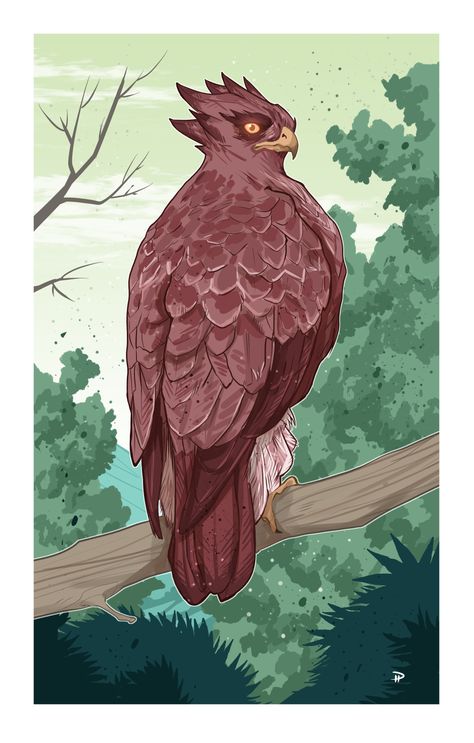 Hawk Familiar Dnd, Hawk Fantasy Art, Dungeons And Dragons Ranger, Mountain Monsters, Dnd Wizard, Falcon Art, Cards Game, Dnd Art, Dungeons And Dragons Homebrew