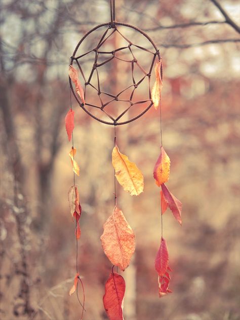 Jonna Jinton, Atrapasueños Diy, Feather Dream Catcher, Dream Catcher Diy, Fall Photos, Samhain, Wind Chime, Lace Up Flat, In The Woods