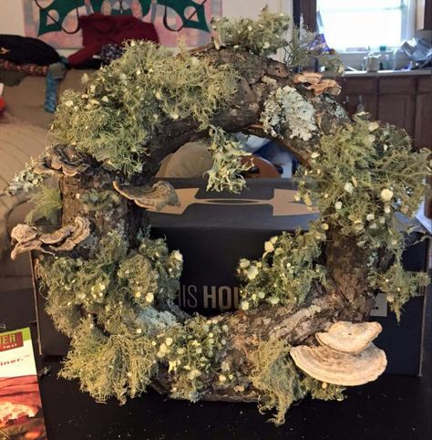 Dried Mushroom Wreath, Moss And Mushrooms, Mushroom Wreath, Moss Wreath Diy, Moss Wreath, Mushroom Crafts, Moss Decor, Easy Fall Crafts, Witchy Crafts