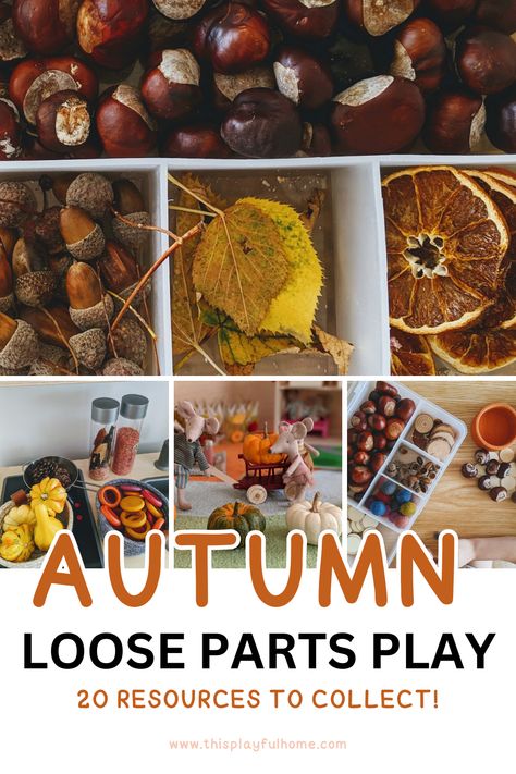 The pin features four images. The first is an overhead photograph of conkers, acorns, leaves and dried oranges in a plastic IKEA glis box. The bottom right image shows mini pumpkins and wooden rings in a play kitchen. The central image shows Maileg mice with real mini pumpkins and the final is an angled shot of an IKEA Glis box with conkers, wood slices, acorns and pompoms. The text reads Autumn loose parts play 20 resources to collect! Thanksgiving Provocations, Loose Parts Play Preschool, Door Classroom, Halloween Activities For Toddlers, Playful Home, Toddler Sensory Bins, Loose Parts Play, Preschool Fall, Early Years Classroom