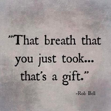 Grateful  We are so blessed just to be here and alive. I think sometimes people take that for granted . Life is a gift  #Thankful Rob Bell, Spirit Science, Gratitude Quotes, A Quote, Note To Self, The Words, Great Quotes, Beautiful Words, Inspire Me