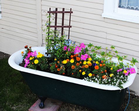 i've always wanted bathtub with flowers in it Old Bath Tub Ideas, Bathtub Flower Bed, Bath Tub Garden, Garden Tub Decor, Bathtub Flowers, Garden Tub Decorating, Bathtub With Flowers, Bathtub Planter, Bathtub Garden